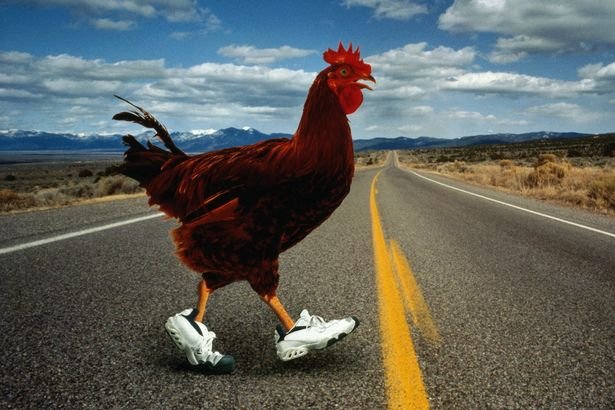 Découvrez le Jeu Chicken Road, Casino en Ligne Populaire en France