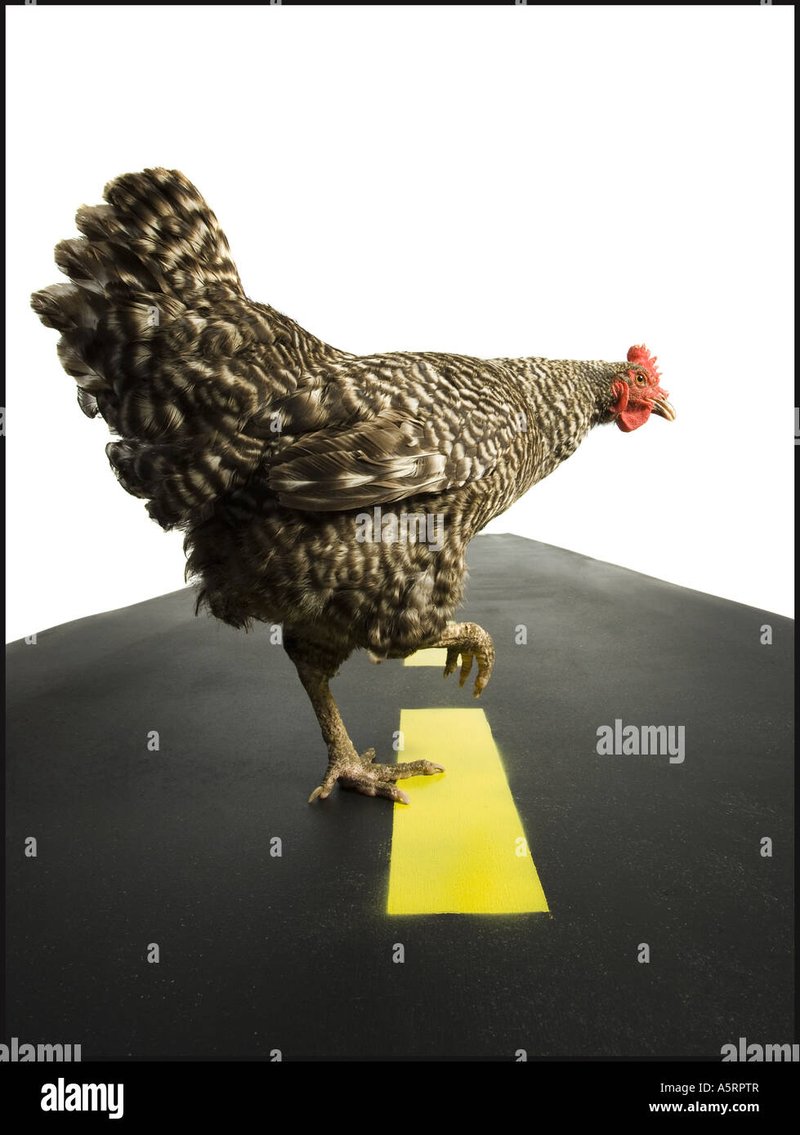Best chicken road españa in Spain